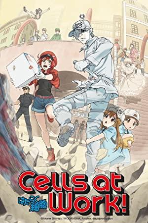 Cells